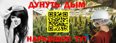 шишки Новозыбков