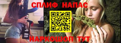шишки Новозыбков
