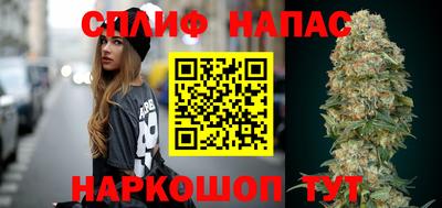 шишки Новозыбков