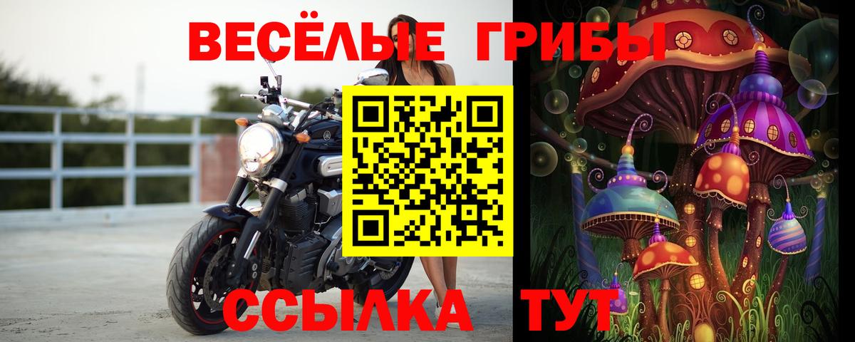 Галлюциногенные грибы Magic Shrooms Татарск