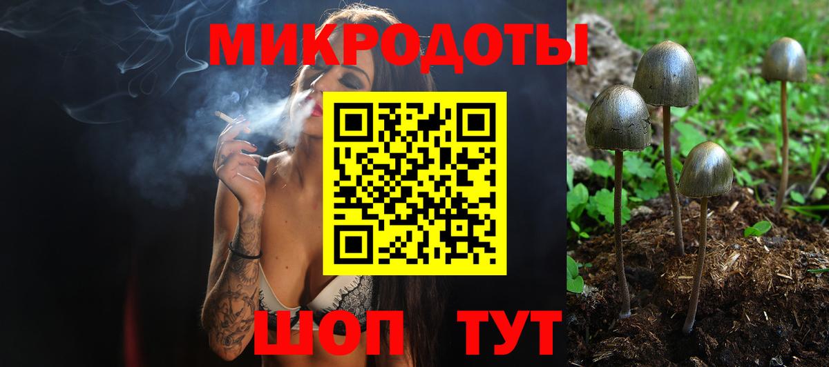 Псилоцибиновые грибы GOLDEN TEACHER  Галлюциногенные грибы мицелий  Татарск  Вход с VPN 